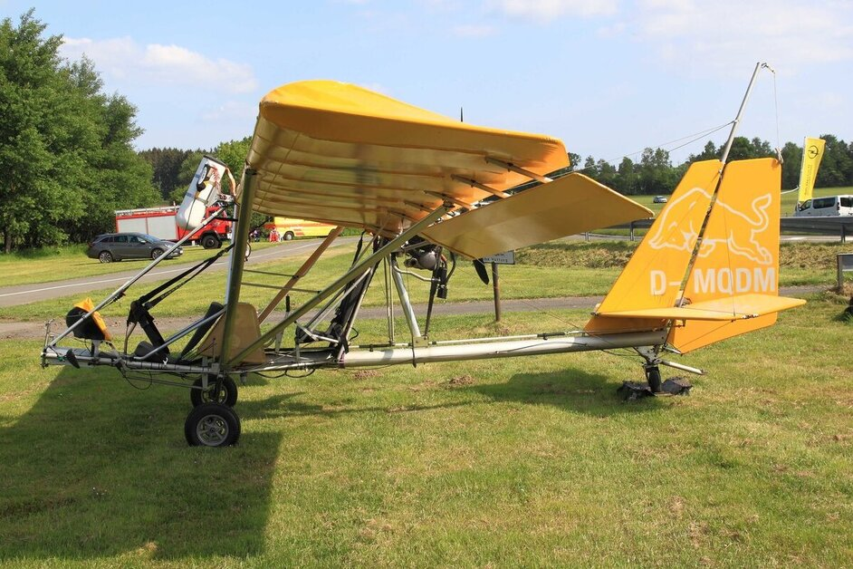 BAILEY MOYES DRAGONFLY